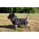 CATAGO Fir Tech Healing Dækken