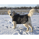 Buster Rehab hundedækken, softshell