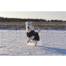 Buster Rehab hundedækken, softshell